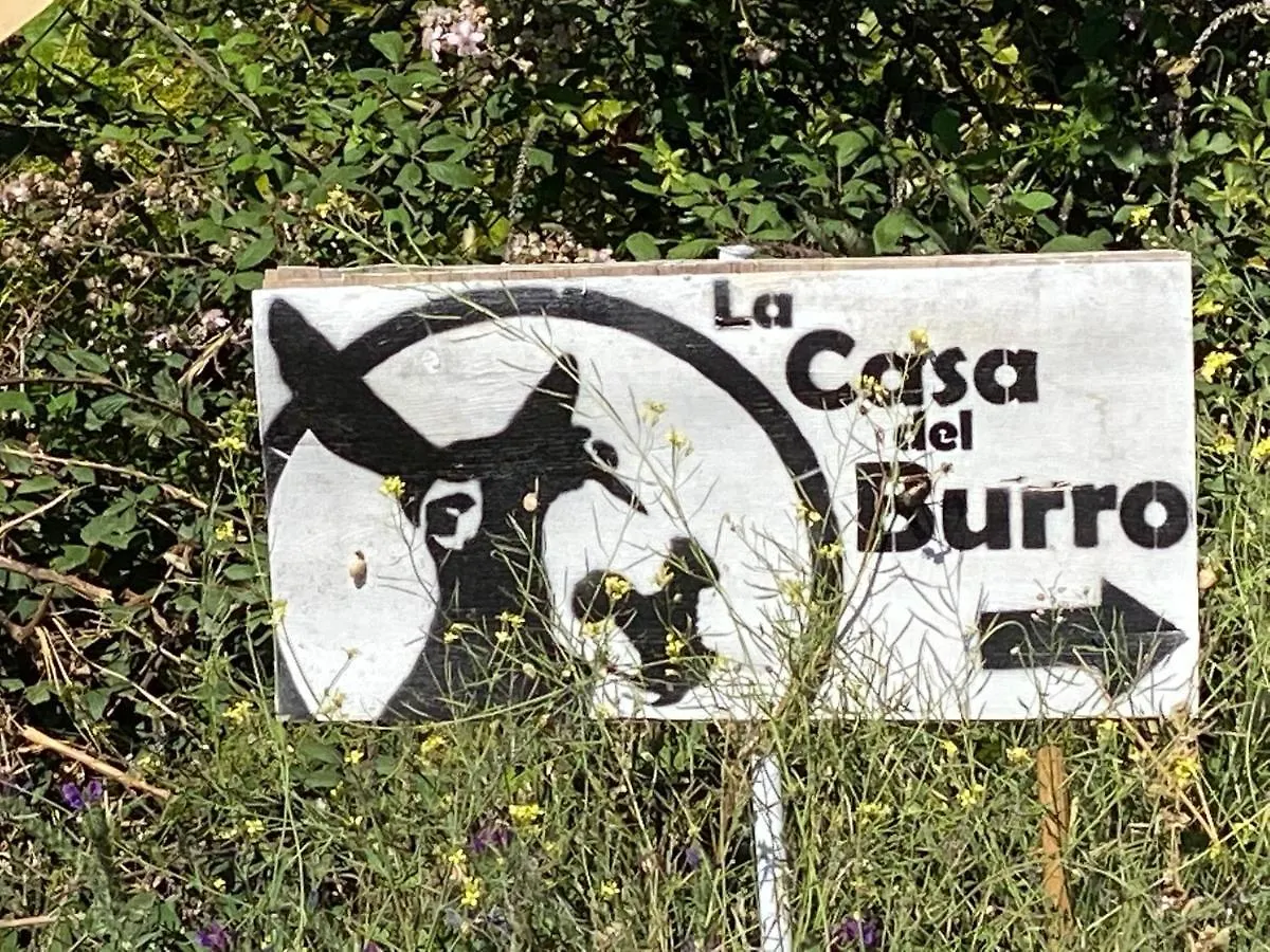 La Casa Del Burro Bed & Breakfast Nerja