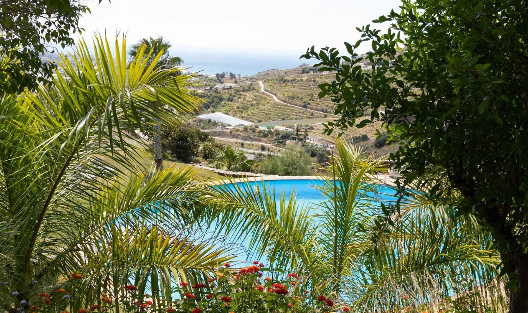 La Casa Del Burro Bed & Breakfast Nerja